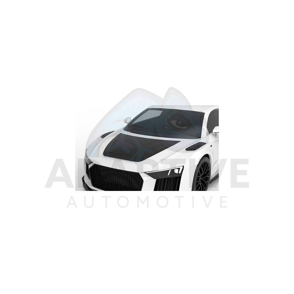 Carbon hood