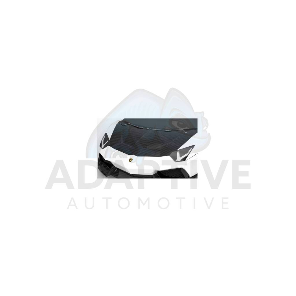 Carbon race hood