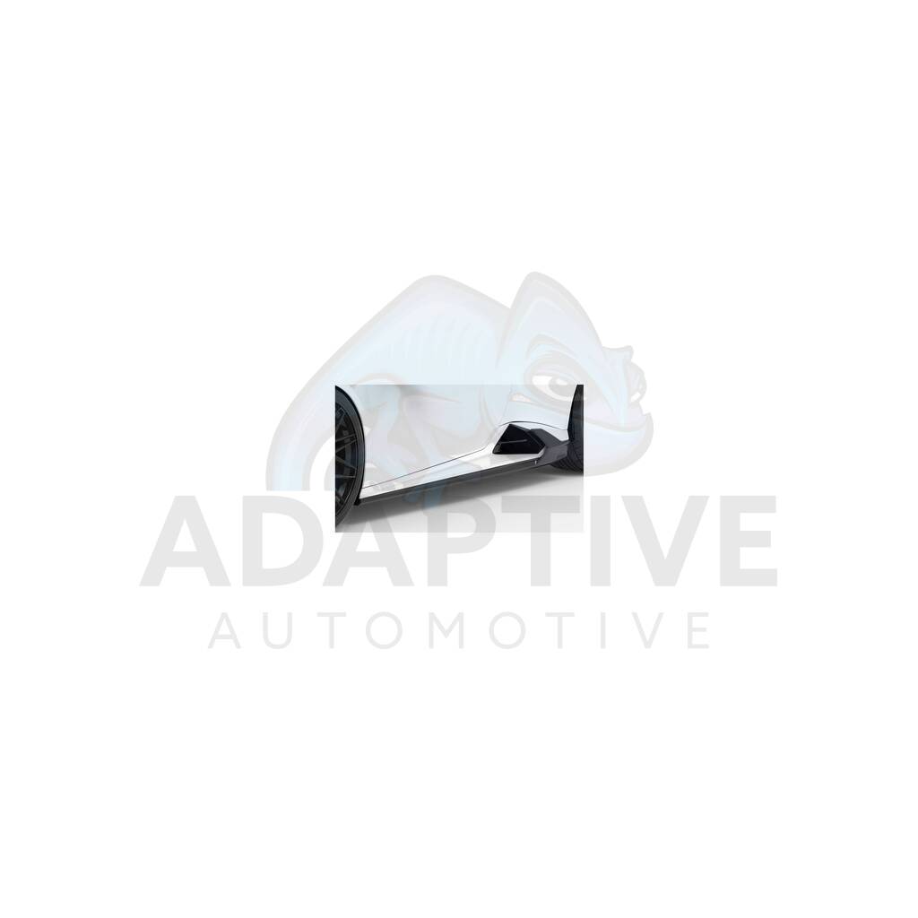 Carbon side skirts