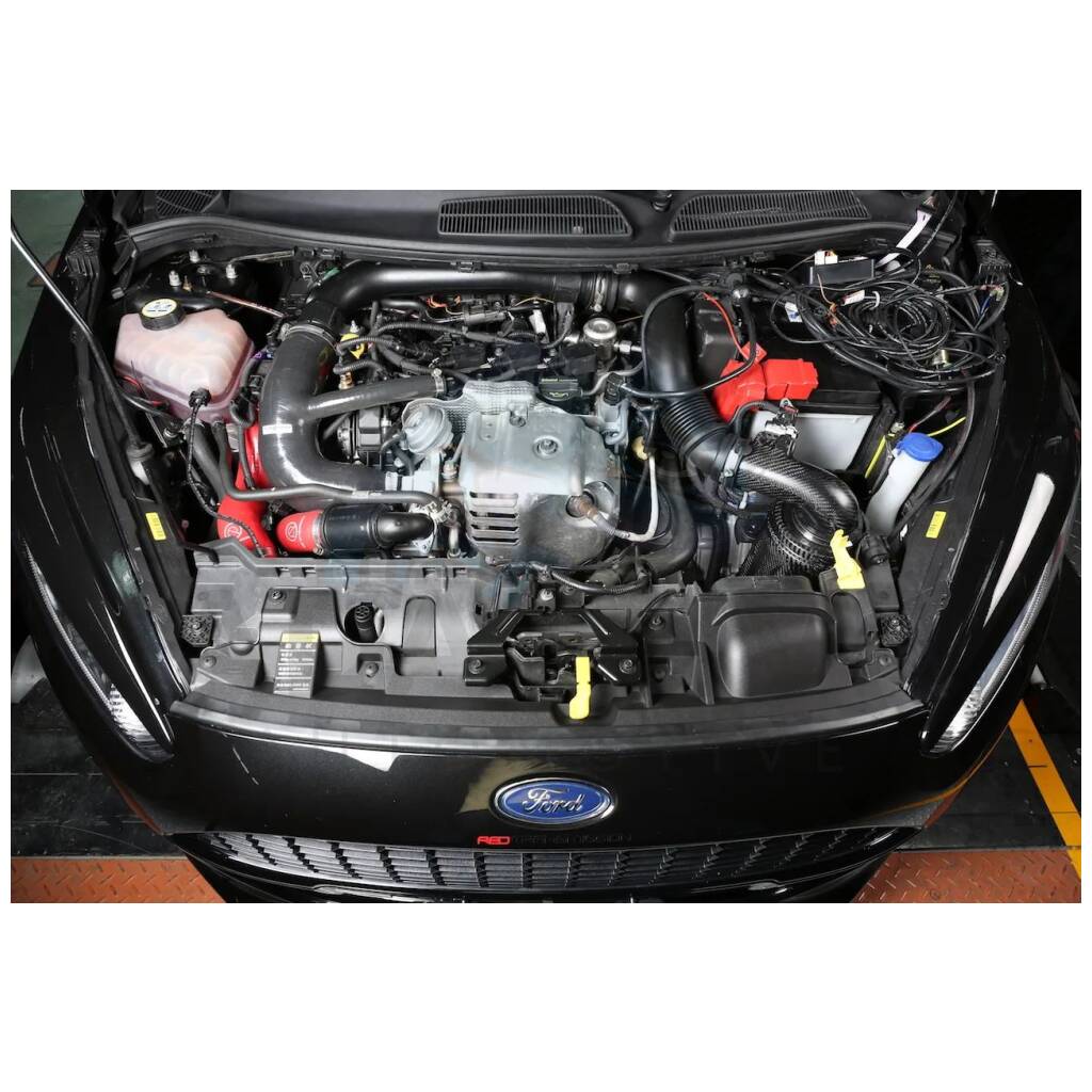 photo gallery image 2
