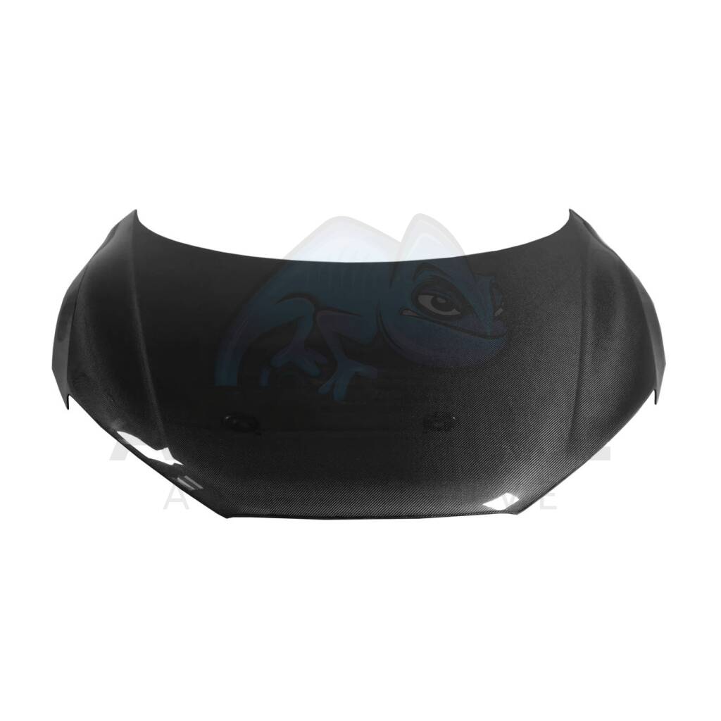Hood Audi R8 Coupe/Spyder 2006-2015