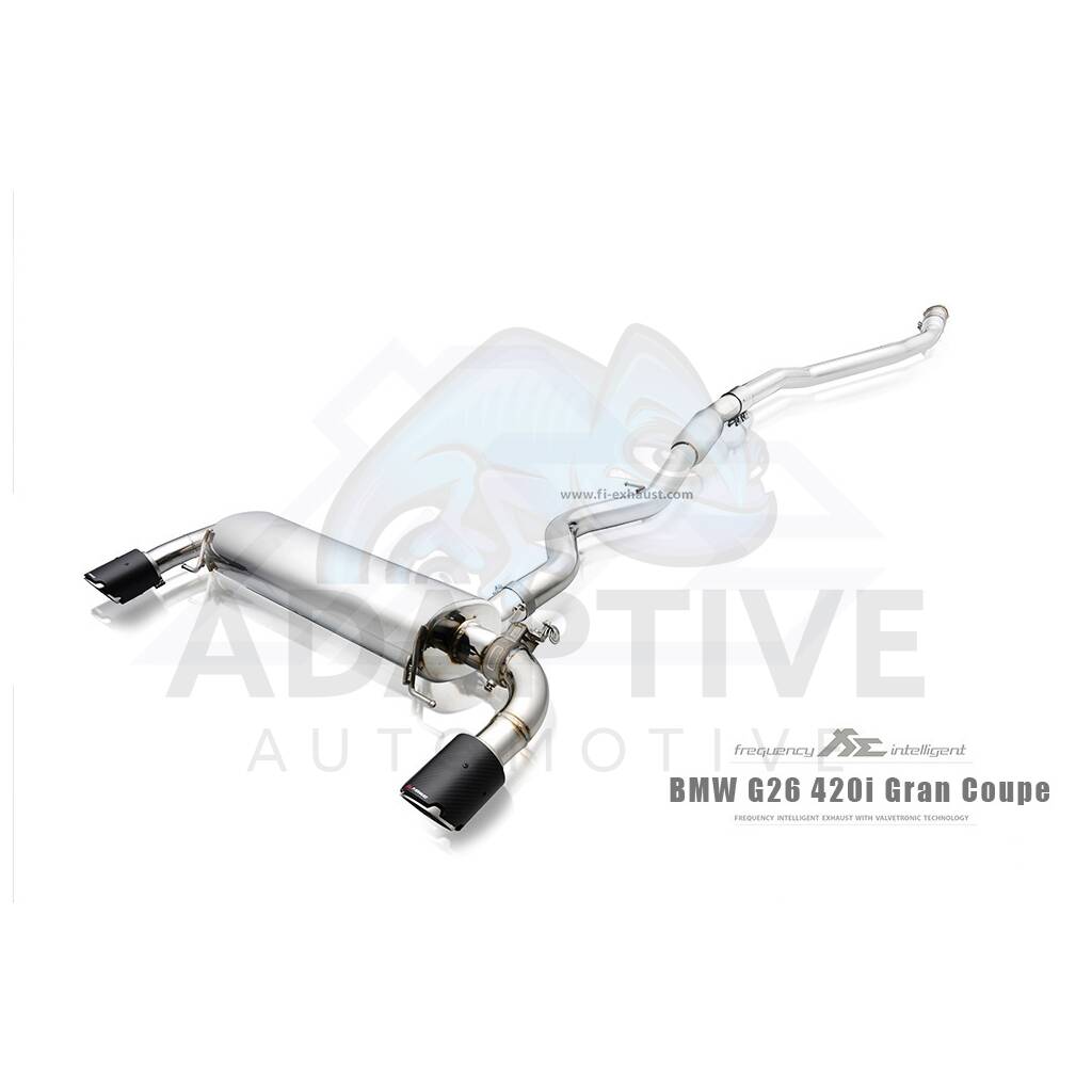 Catback with silver tips