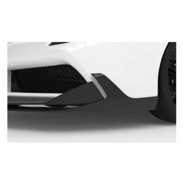 Carbon front flippers