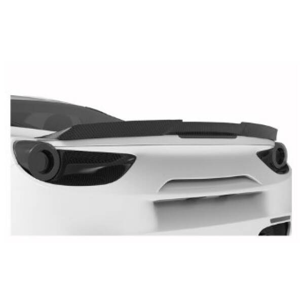 Carbon rear spoiler