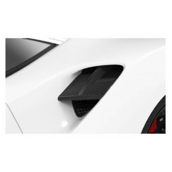 Carbon side intake vents