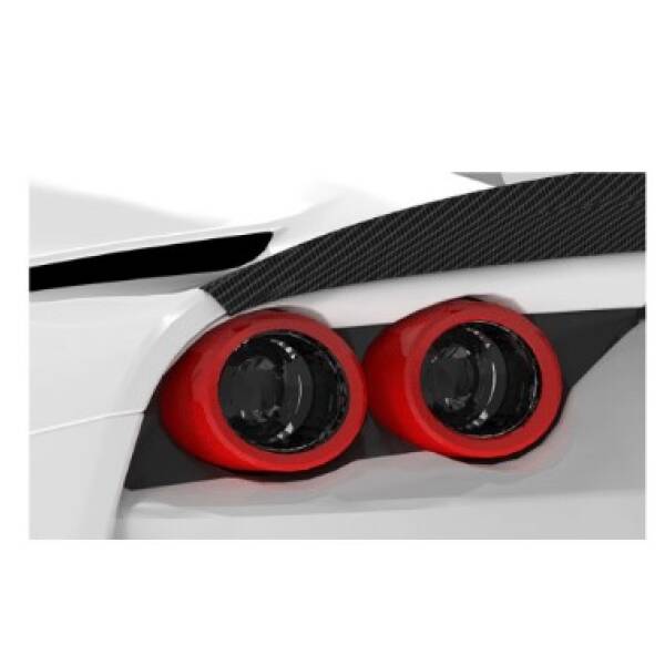 Carbon tail light surround