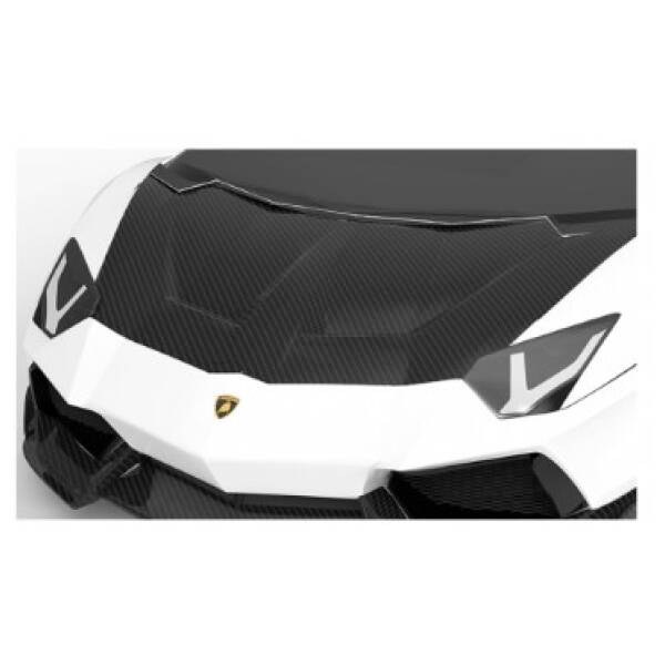 Carbon race hood