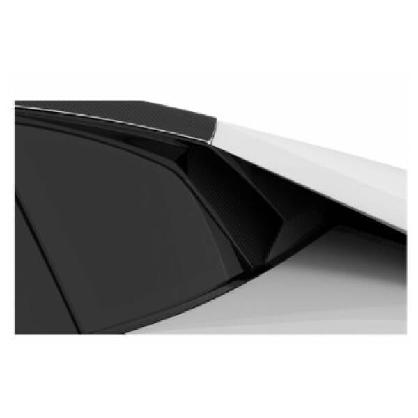 Carbon side intake vents