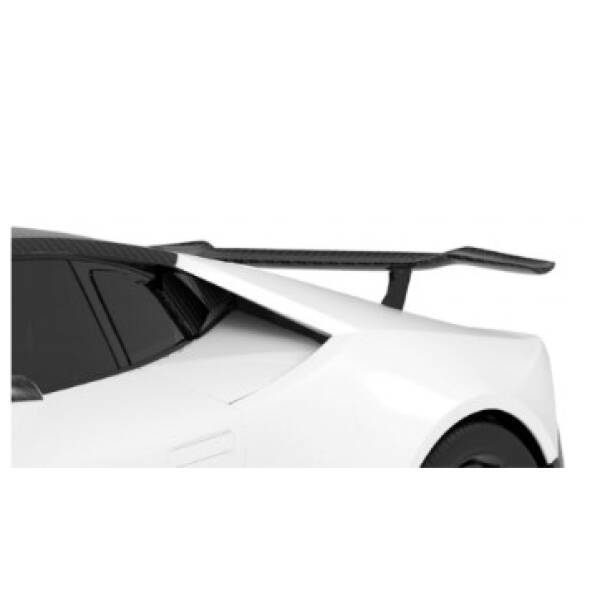 Carbon rear wing & base V1