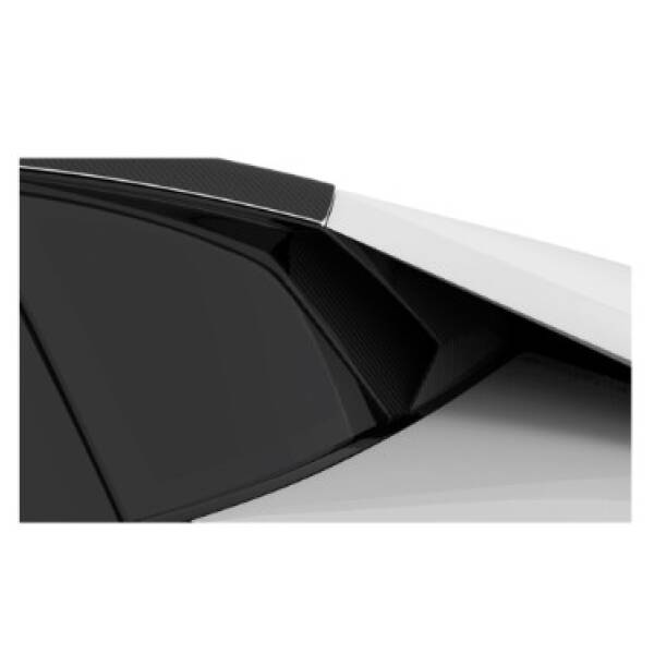 Carbon side intake vents