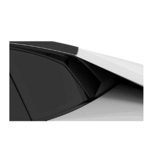 Carbon side intake vents