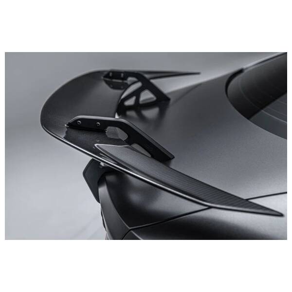 Swan Neck Wing