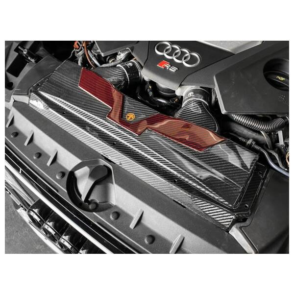 Carbon Air Intake Cover