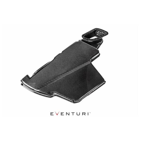 Air intake - carbon airbox lid gloss