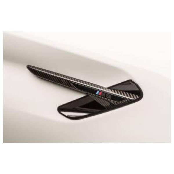 OEM style carbon FENDER Trim