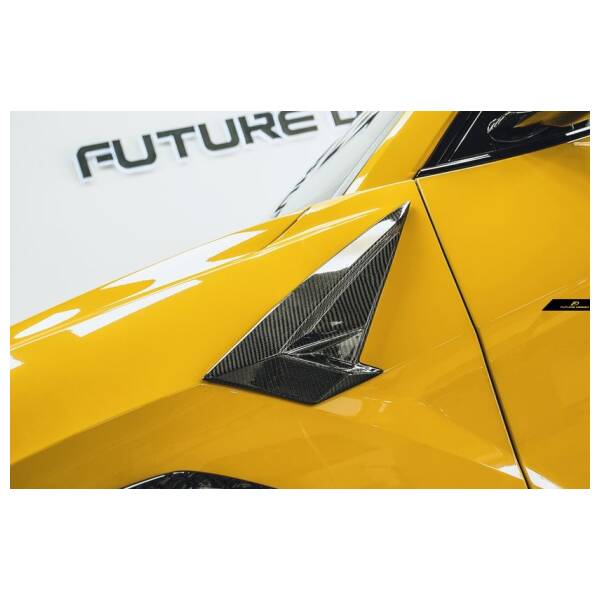 FD style carbon Fender Cover