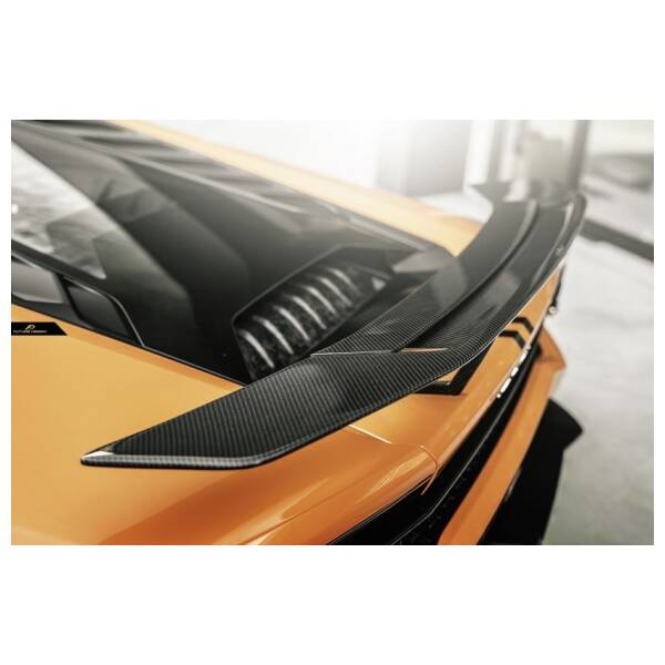 NovT style carbon rear Wing