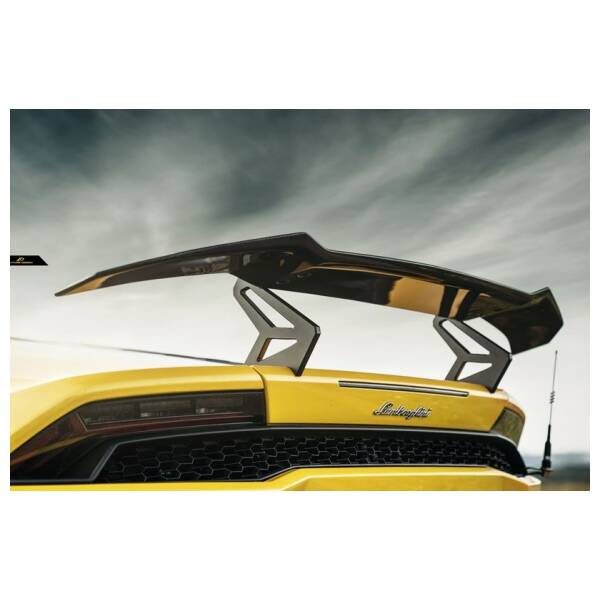 FD GT style carbon rear Wing