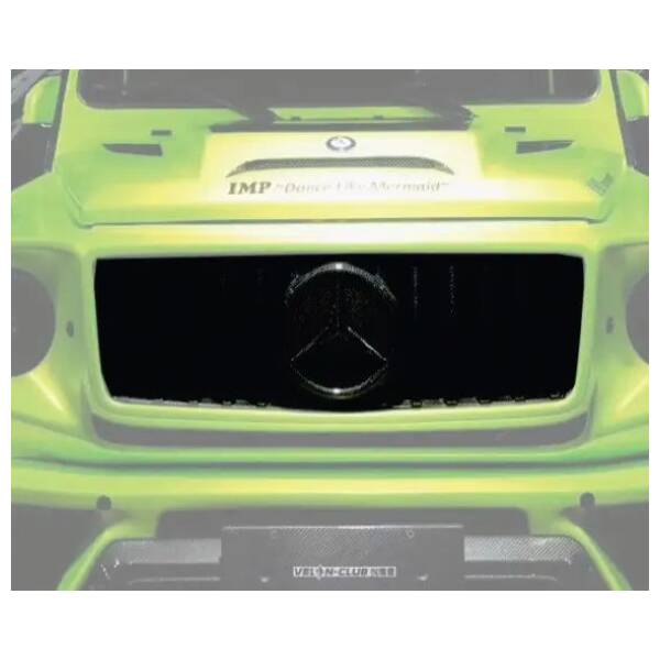 Front Grille