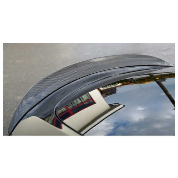 Rear Spoiler