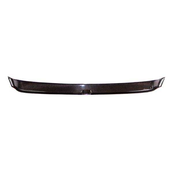 PSM Dynamic CARBON Front Spoiler Add On