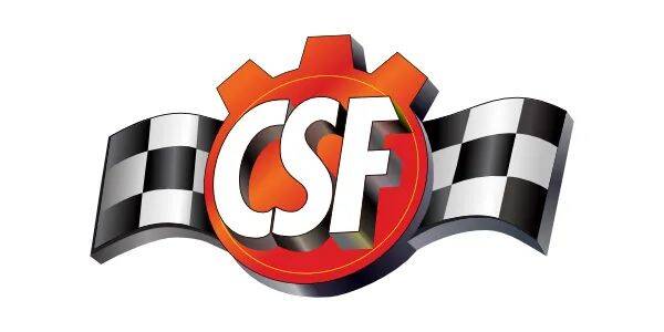 CSF