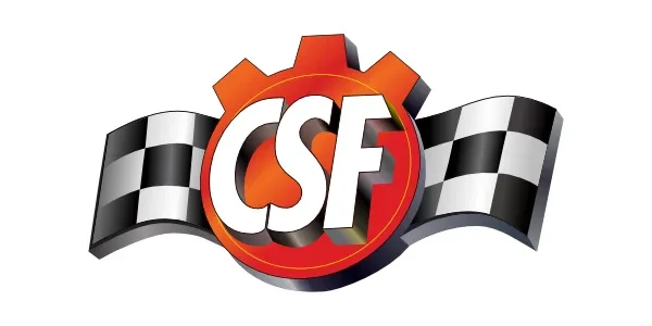 CSF